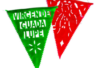 Vanderin Tricolor Virgencita de guadalupe